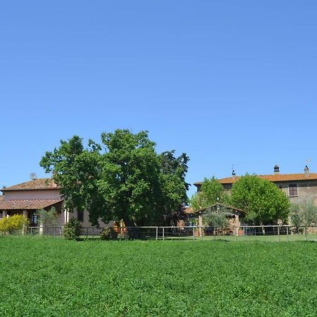 Cortona Holiday Home Dış mekan fotoğraf